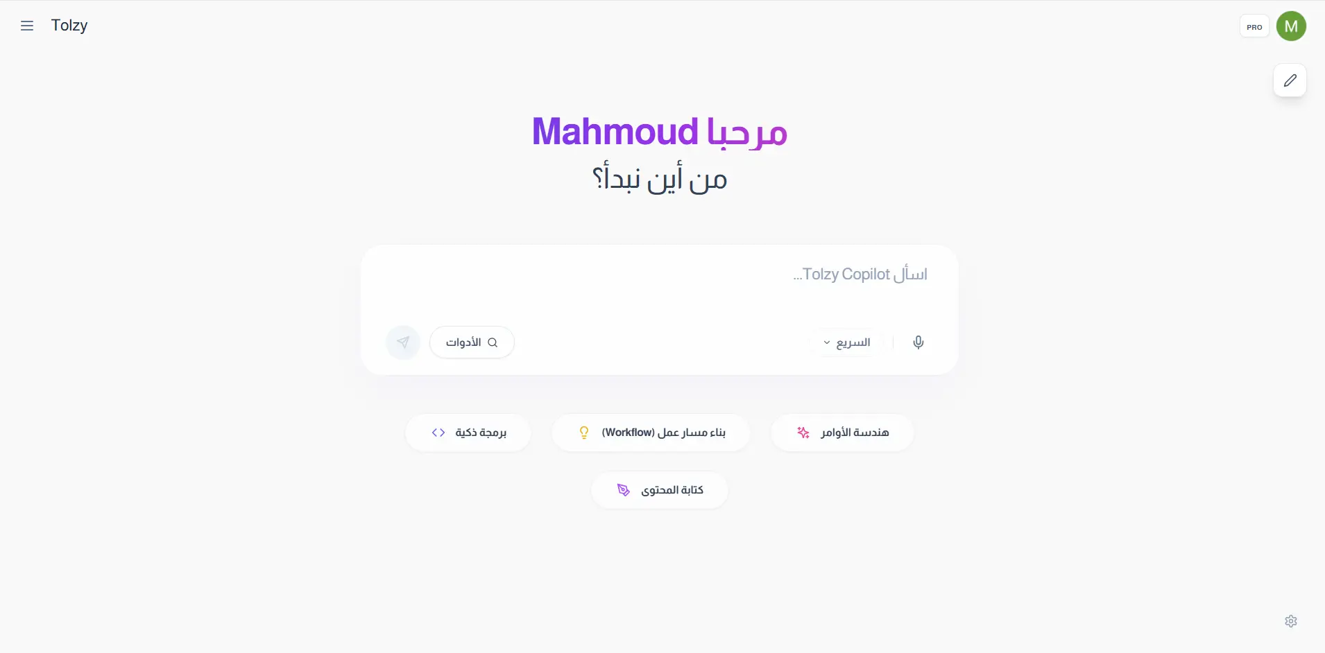 Tolzy AI & Copilot